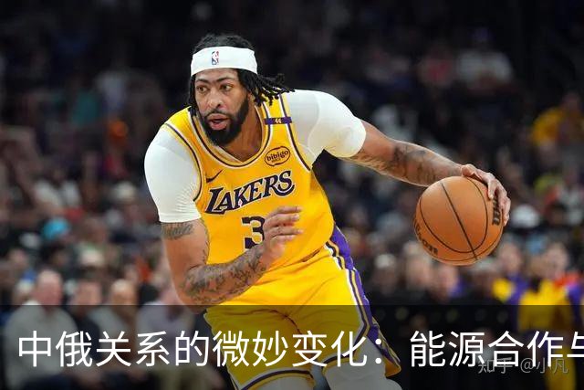 中俄关系的微妙变化：能源合作与战略选择的交锋
